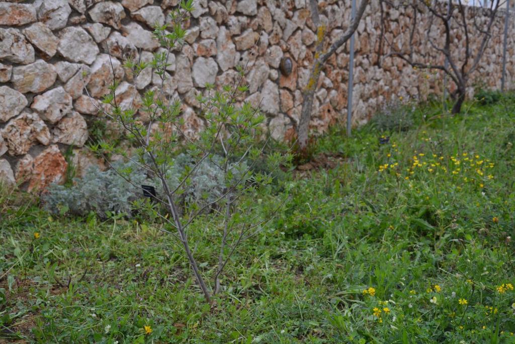 ליקסורי Lotus Sea View Studio Apartment 2 מראה חיצוני תמונה